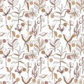 Hand drawn pattern sketch style Wild flowers . Line nature style,Drawing flora,hand drawn botany