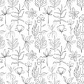 Hand drawn pattern sketch style Wild flowers . Line nature style,Drawing flora,hand drawn botany