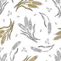 Hand drawn pattern of wheat ears and seeds on a white background Royalty Free Stock Photo
