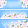Hand drawn peach blossom sakura white flowers botanical illustration, blue background vector web banner Royalty Free Stock Photo
