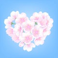 Hand drawn peach blossom cherry white flowers heart shaped plant blue background vector illustration Royalty Free Stock Photo