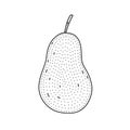 Hand drawn pear icon in doodle style. Cartoon pear vector icon for web design isolated on white background. Royalty Free Stock Photo