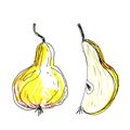 Hand drawn pear set. Collection of yellow pear, pear slice with black doodle stroke isolated for design, packaging