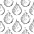 Hand drawn pears seamless pattern on white background Royalty Free Stock Photo