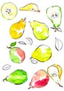 Hand drawn pears set. Watercolor colorful illustration for cook book or kitchen decoration. Isolated icons set Royalty Free Stock Photo