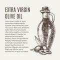 Hand drawn pencil bottle of extra virgin olive oil. Still life of olive oil in a glass jar and sprigs of fresh olives