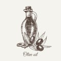 Hand drawn pencil bottle of olive oil. Still life of olive oil in a glass jar and sprigs of fresh olives. Vector