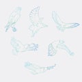 Hand-drawn pencil graphics. Birds of prey set.