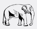 Hand-drawn pencil graphics, elephant. Engraving, stencil style. Black and white logo, sign, emblem, symbol. Stamp, seal Royalty Free Stock Photo