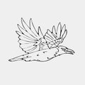 Hand-drawn pencil graphics, small bird Royalty Free Stock Photo