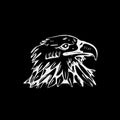 Hand-drawn pencil graphics, vulture, eagle, osprey, falcon, hawk