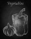 Hand drawn pencil pepper and garlic on chalkboard background Royalty Free Stock Photo