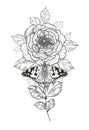 Hand Drawn Peony Flower and Butterfly