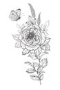 Hand Drawn Peony Flower and Flying Butterfly