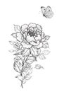 Hand Drawn Peony Flower and Flying Butterfly