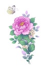 Hand Drawn Peony Flower and Flying Butterfly
