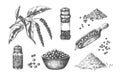 Hand drawn pepper. Kitchen seasoning realistic sketch. Whole or ground pungent spice. Powder heaps, pepperbox and scoops Royalty Free Stock Photo