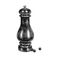 Hand drawn pepper mill