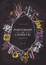 Hand drawn perfumery and cosmetics ingredients trendy design on chalk board. Decorative background with vintage aromatic plants,