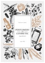 Hand drawn perfumery and cosmetics ingredients vintage banner. Decorative background with aromatic plants, fruits, spices, herbs