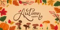 Hand drawn Phrase Hello Autumn. Colored trendy vector illustration in flat style. Hand-drawn mushrooms, pumpkins, berries, leaves Royalty Free Stock Photo