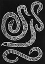 Hand drawn picture of patterned snakes.