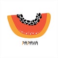 Hand drawn piece of sweet orange papaya. Tropical fresh fruit with pulp and seeds. Vegetarian organic food. Lettering