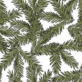 Hand drawn pine branches seamless pattern vector illustration Royalty Free Stock Photo