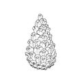 Hand drawn pine cone. Black and white illustration. Vector. For coloring book, advertising, packaging, invitations Royalty Free Stock Photo