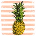 Hand drawn pineapple on striped background