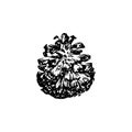 Hand drawn pinecone vector illustration. Linocut pine or fir cone decorative graphic image. Stylized christmas monochrome black Royalty Free Stock Photo