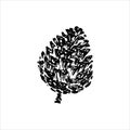Hand drawn pinecone vector illustration. Linocut pine or fir cone decorative graphic image. Stylized monochrome doodle black Royalty Free Stock Photo