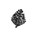 Hand drawn pinecone vector illustration. Linocut pine or fir cone decorative graphic image. Stylized monochrome sketch black Royalty Free Stock Photo