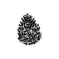 Hand drawn pinecone vector illustration. Linocut pine or fir cone decorative graphic image. Stylized vintage monochrome black