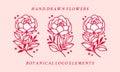 Hand drawn pink botanical peony flower logo element collection