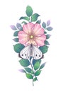 Hand Drawn Pink Dog-rose Flower and Butterfly