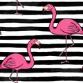 Hand drawn pink flamingo silhouette on a background of black and white stripes. design for holiday greeting card and invitation of Royalty Free Stock Photo