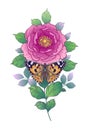 Hand Drawn Pink Flower and Butterfly