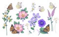 Hand Drawn Wild Flowers and Butterflies Set