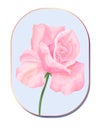 Hand drawn pink rose on the blue background