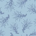 Hand drawn pinnate seaweed. Underwater plants. Floral seamless pattern. Blue repeat background.