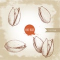 Hand drawn pistachios set. Open and fried fresh organic food. Nuts illustrations isolated