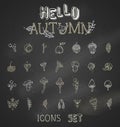 Vector chalk set of autumn icons on blackboard background.