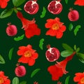 Hand drawn pomegranate fruit on a branch with leaves and flowers. Seamless pattern. Illustration on dark green background. Unusual