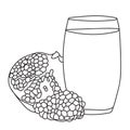 Hand drawn pomegranate juice in glass, exotic fresh, fruit smoothie, ink drawing vector elements.