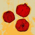 Hand drawn pomegranates on grunge background Royalty Free Stock Photo