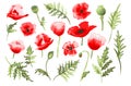 Hand drawn poppies set