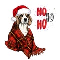 Hand Drawn Portrait Of Beagle Dog Wearing Santa Hat And Plaid Blanket. Vector Christmas Poster. Xmas Greeting Card