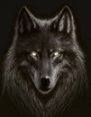 Hand drawn portrait of a black wolf with glowing eyes Royalty Free Stock Photo