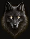 Hand drawn portrait of a black wolf with glowing eyes Royalty Free Stock Photo